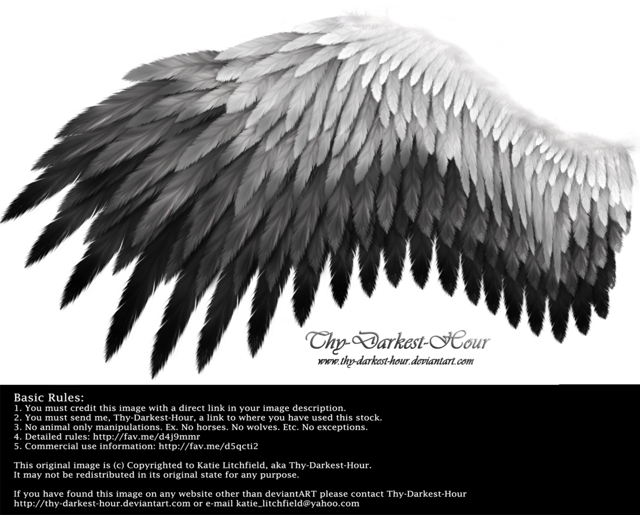 Angel - Black To White Wings (997x802), Png Download