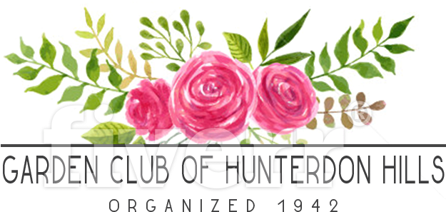 Drawings Of Flowers Invitation (1000x1000), Png Download
