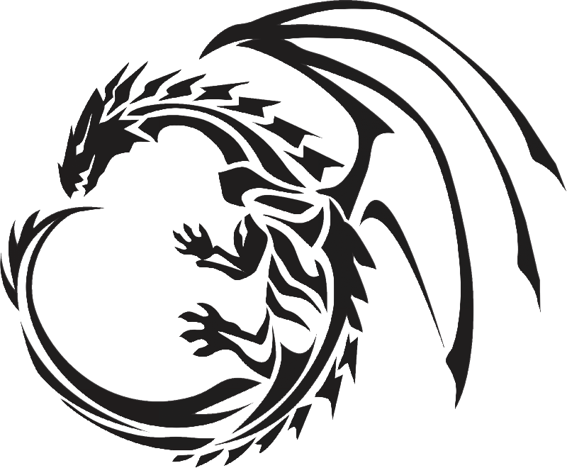 Dragon Png (800x660), Png Download