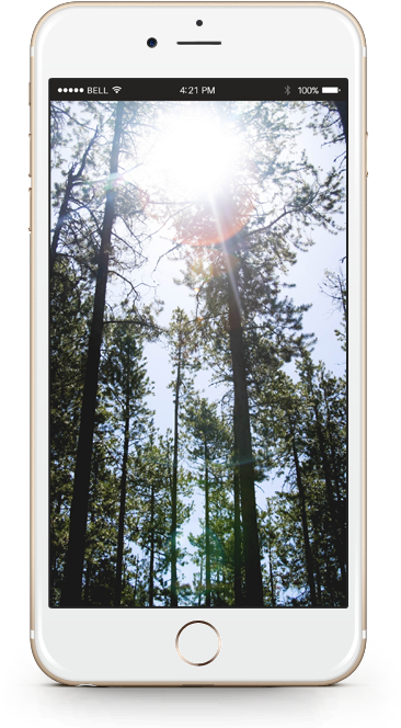 Carousel Transparent Background - You May Be Gone From My Sight But Not My Heart (482x696), Png Download