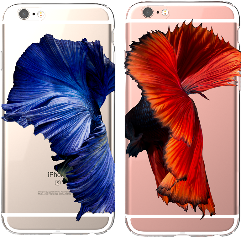 Betta Iphone 6/6s - Iphone 6s (800x800), Png Download