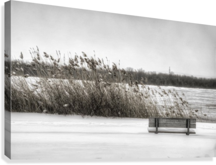 Winter Scene Canvas Print - Snow (429x328), Png Download