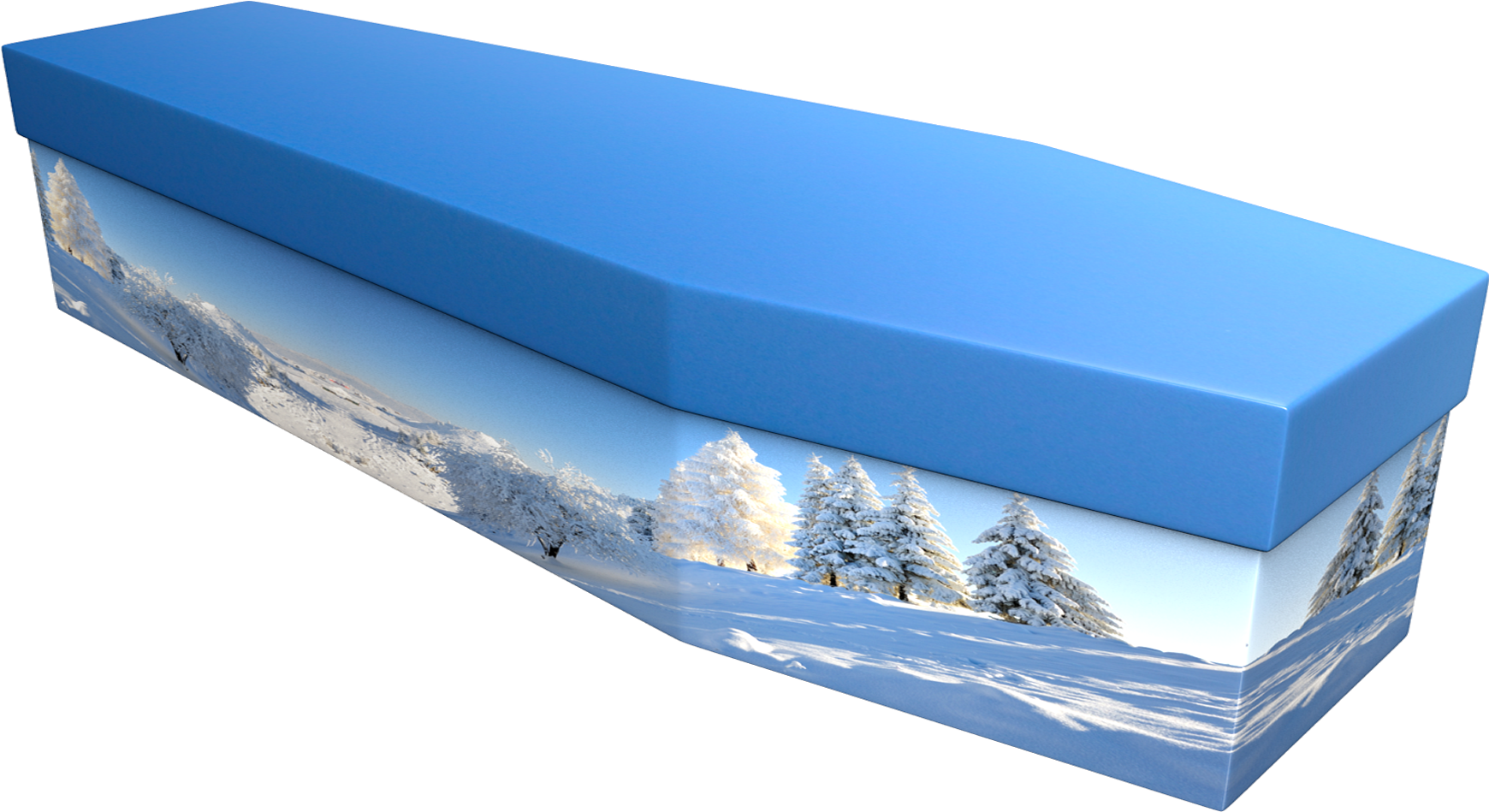 Winter Scene Cardboard Coffin - Coffin (1920x1080), Png Download