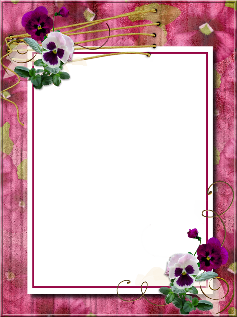 Picture Frame (768x1024), Png Download