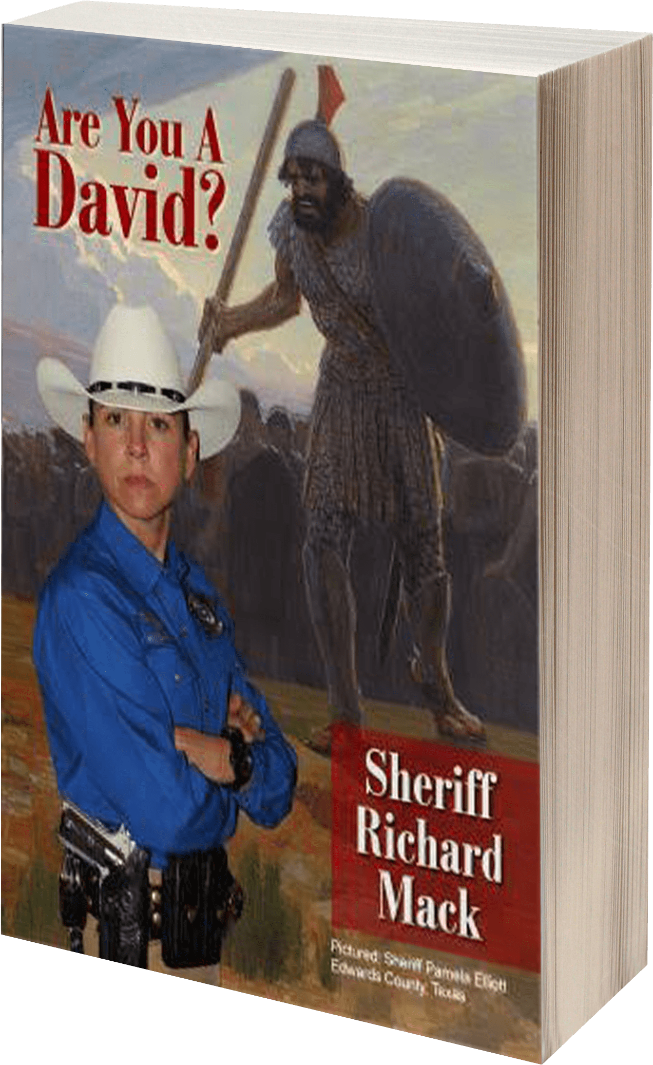 Are You A David - You A David?: America's Last Hope [book] (2040x2408), Png Download