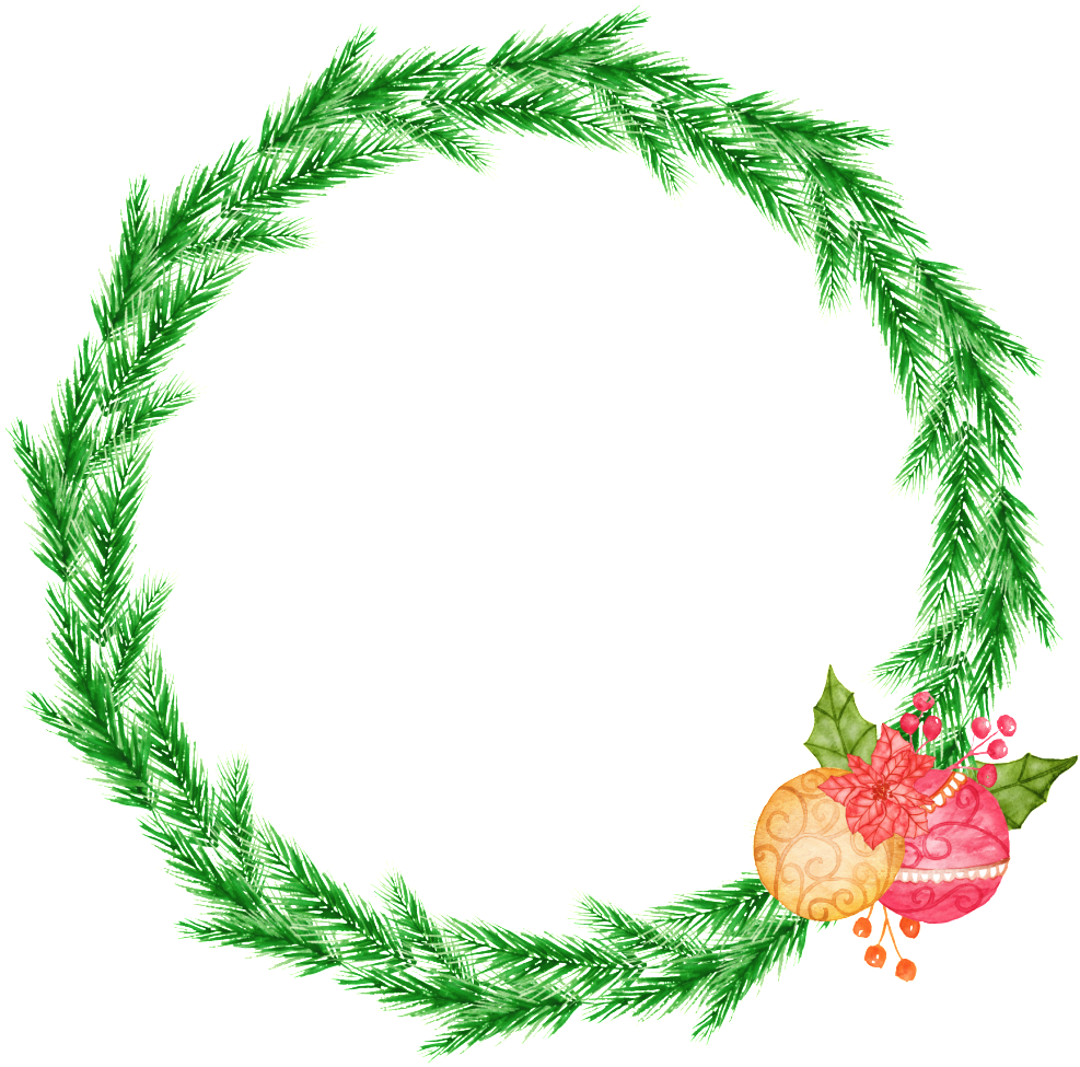 Planta Tropical Corona Png Transparente - Portable Network Graphics (1024x1024), Png Download