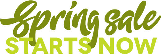 Spring Sale Starts Now - Instagram (600x225), Png Download