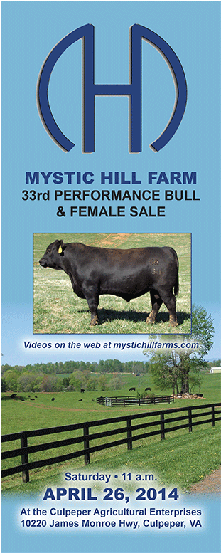 Mystic Hill Farm 33rd Performance Bull And Female Sale - Mystic Hill Farms (600x776), Png Download