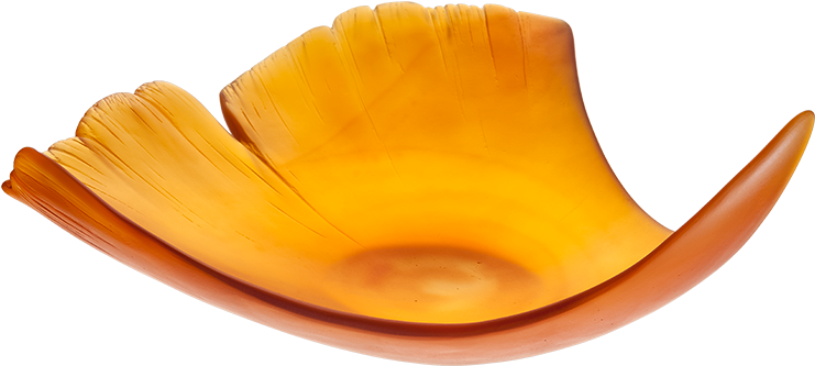 Ginkgo Leaf (1000x1000), Png Download