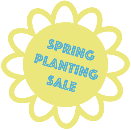 2018 Spring Planting Sale - Dj Caribe Dance Mix, Rey Falco Pandilla X / Verano (426x424), Png Download