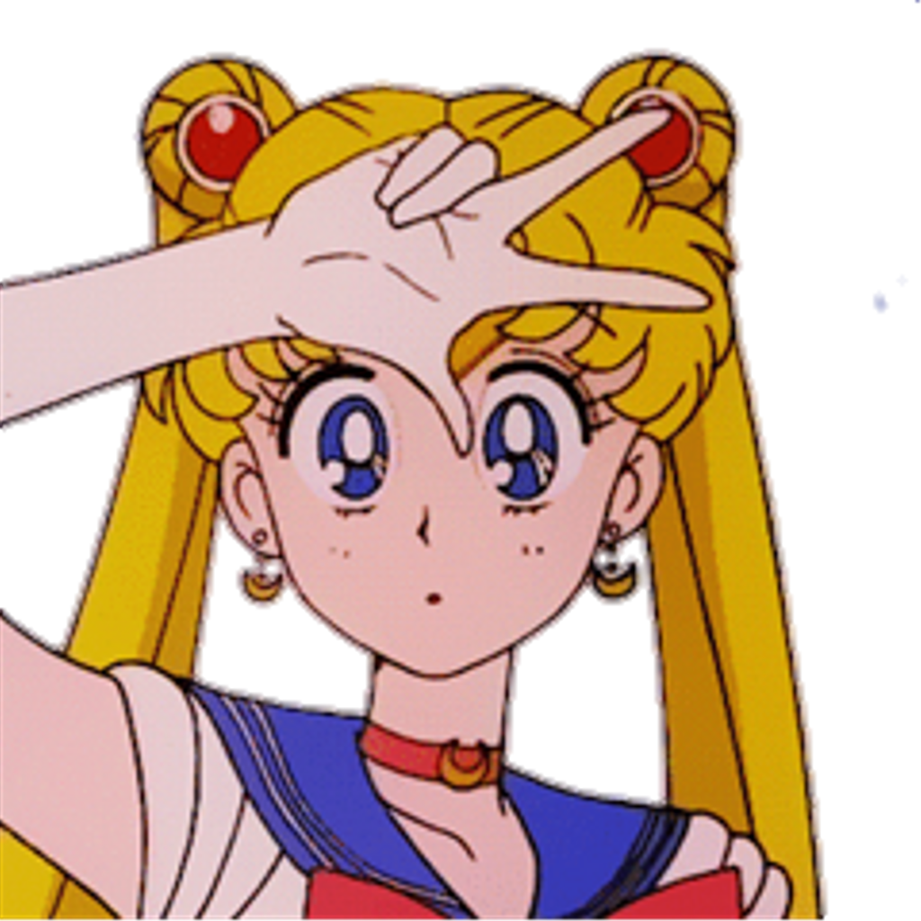 Aesthetic Sailor Moon Profile (1024x1024), Png Download