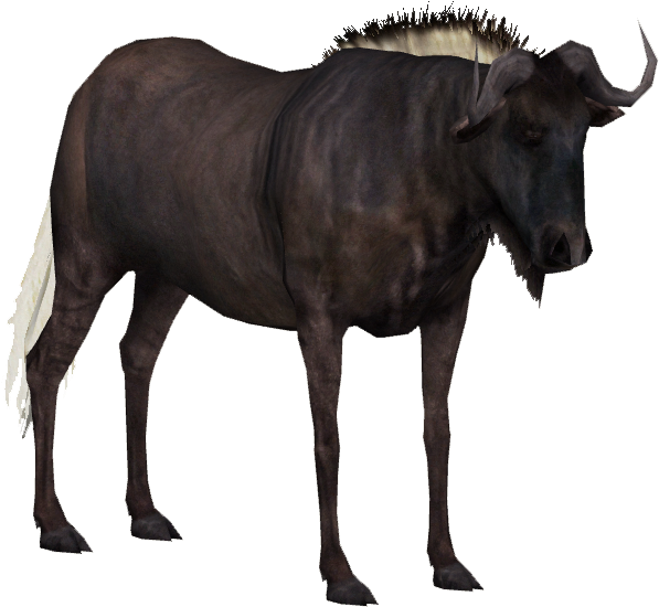 Water Buffalo Png Transparent Hd Photo - Zt2 Black Wildebeest (676x626), Png Download