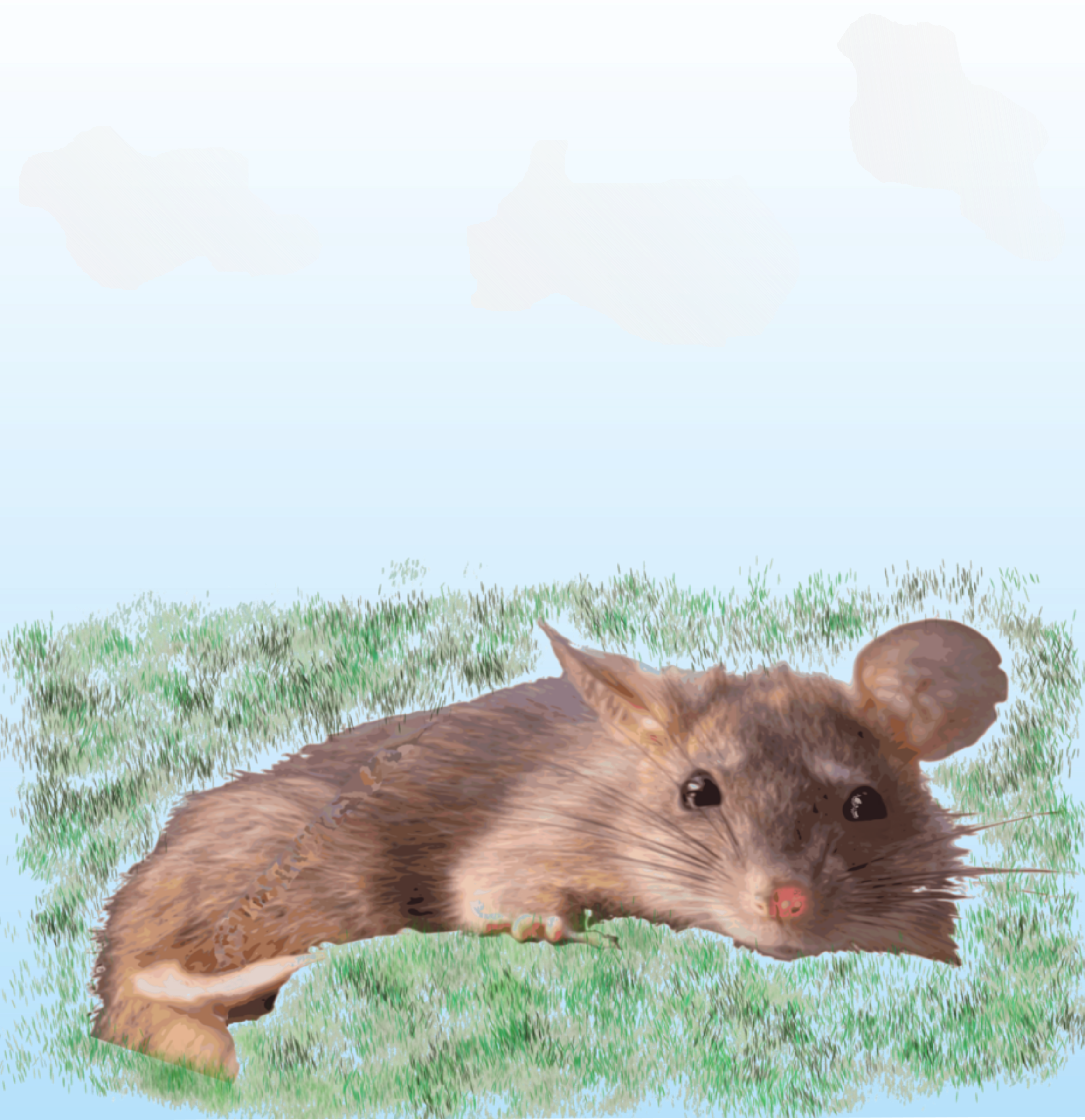 This Free Icons Png Design Of Sunbathing Rat (2327x2400), Png Download