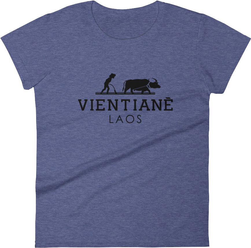 Vientiane Water Buffalo Women's T-shirt - Hippopotamus (1000x1000), Png Download