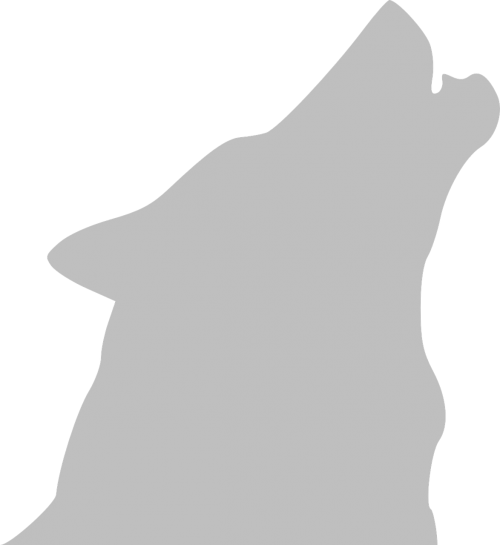 Vector Graphics - Howling Wolf Silhouette White (500x545), Png Download
