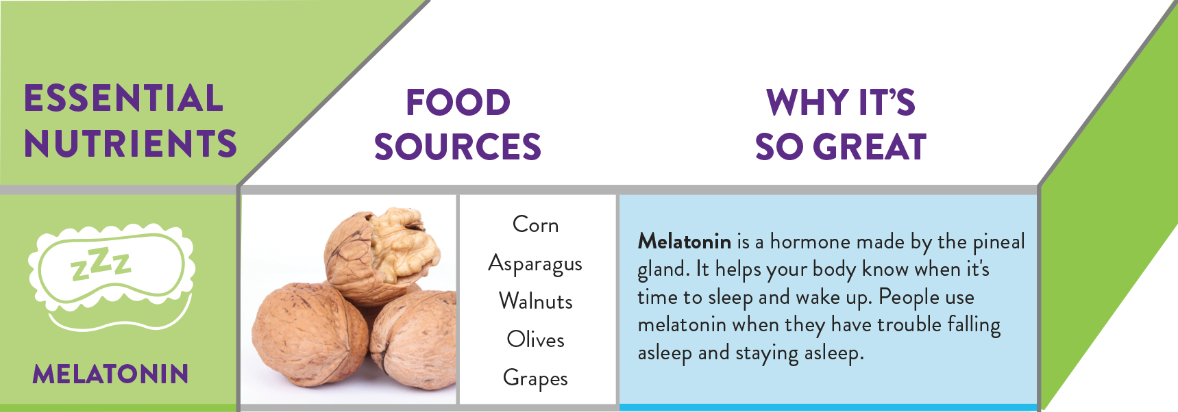 Vitafusion Sleep Well Is A Recipient Of The Chefsbest - Chocolate Chip Cookie (1719x602), Png Download