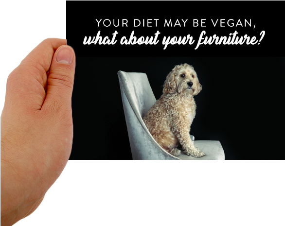 Postcard Template Front (600x600), Png Download