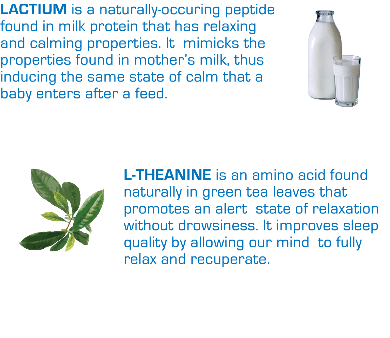 About Rilax Zzz - Tea Leaf (1600x1600), Png Download