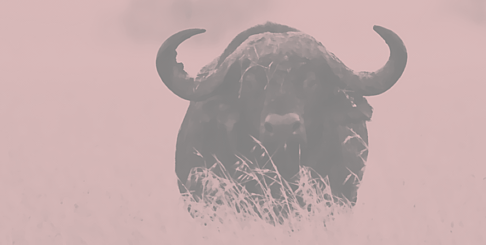 There's A Decision To Make And Only Seconds To Make - Hero (960x484), Png Download