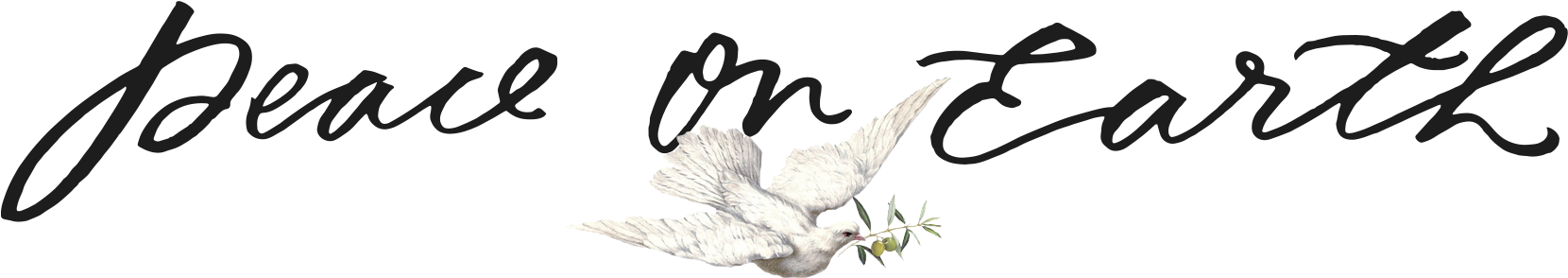 Ibis (1659x343), Png Download