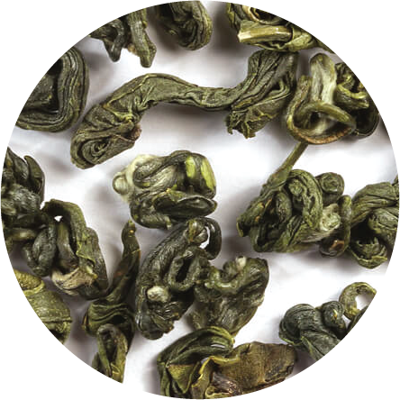 Description - Boa Constrictor (444x444), Png Download