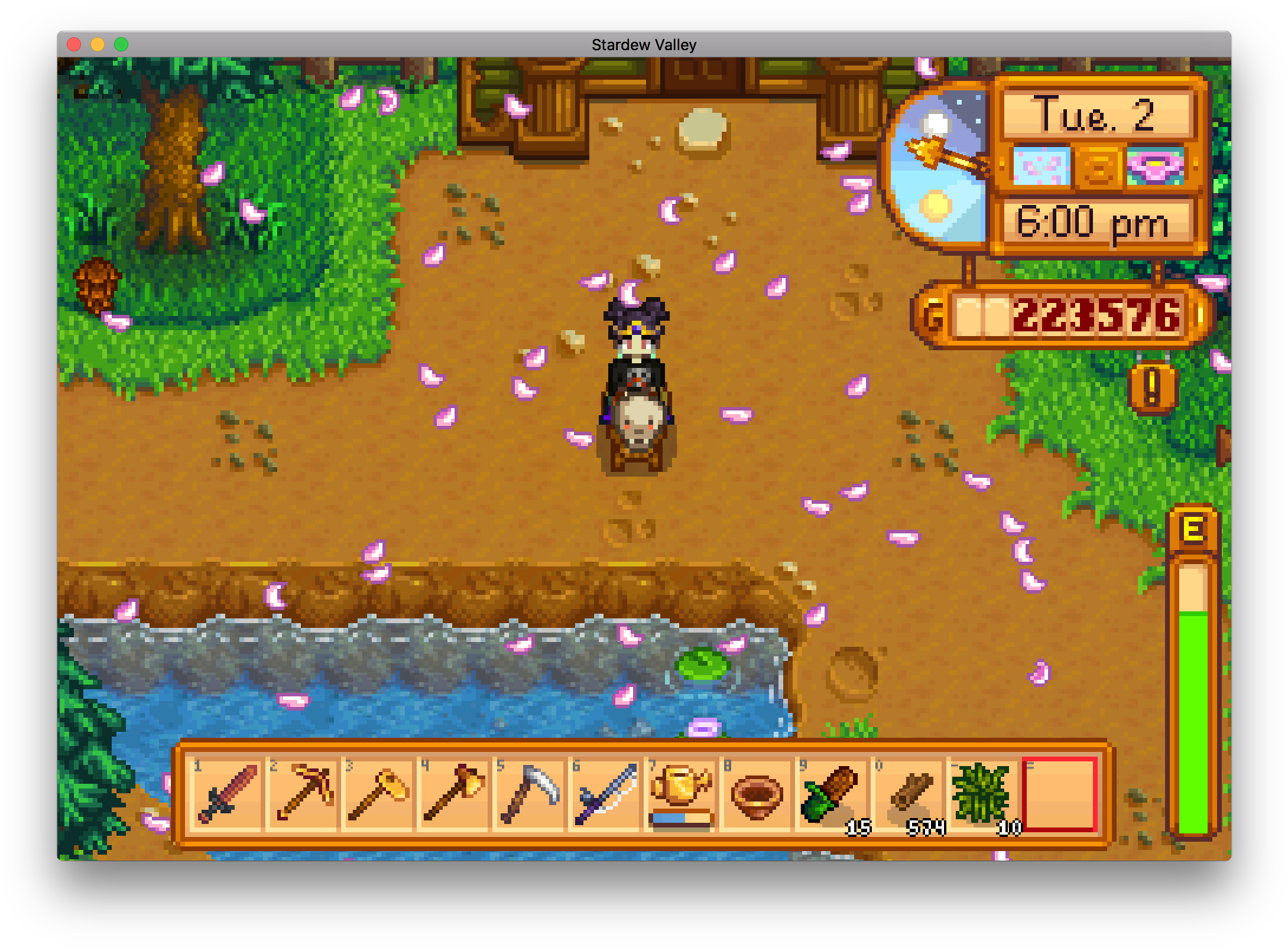 How Come No One Told Me You Could Put Hats On Your - Horse (2210x1628), Png Download