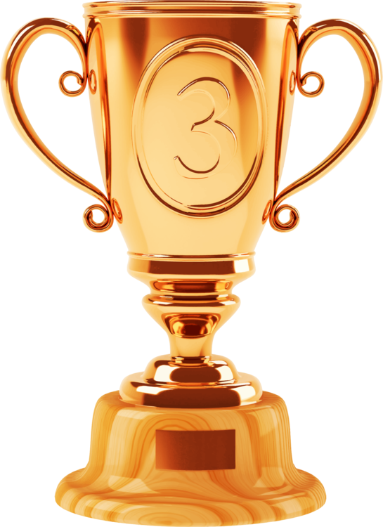 Trophy Bronze Medal Bronze Medal Award - Gold Cup (545x750), Png Download