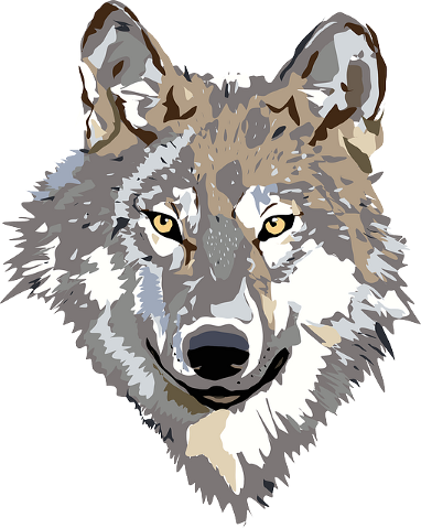 A Brief Exordium - Grey Wolf Clipart (382x479), Png Download