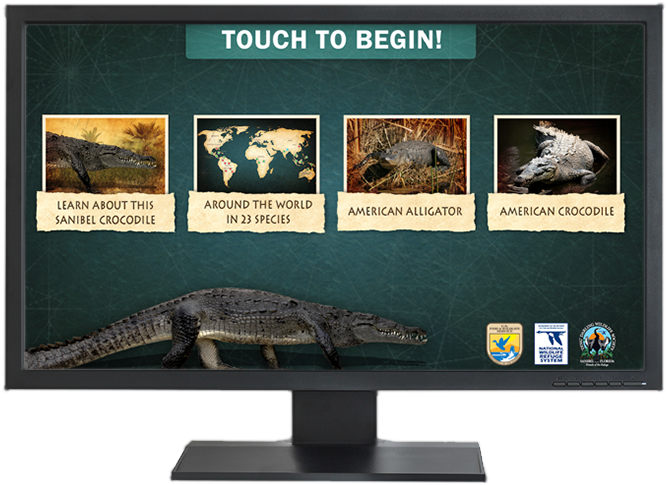 Interactive (850x600), Png Download