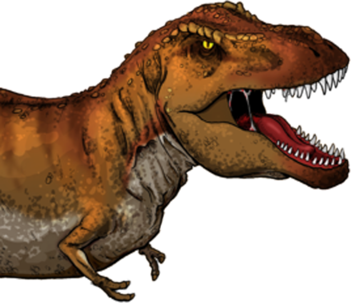 It Is Sized To Fit The Dinosaur Is Sized To Fit The - Tyrannosaurus Rex En Ingles (693x600), Png Download