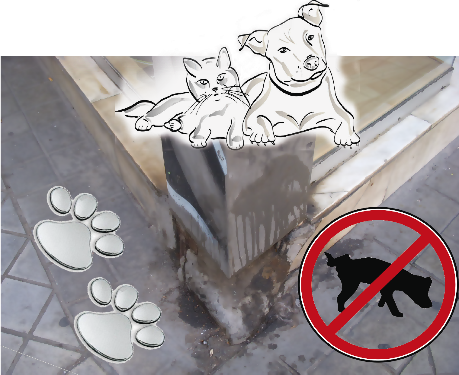 Ahuyentador De Orines De Perros - Dog (1520x1243), Png Download