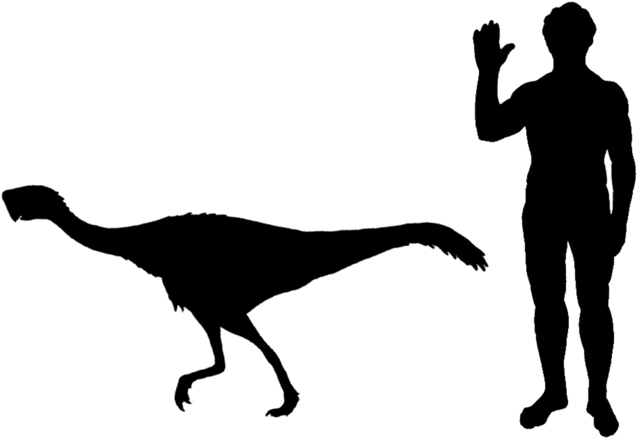 Nemegtomaia Size - Dire Wolf Human Size Comparison (990x672), Png Download
