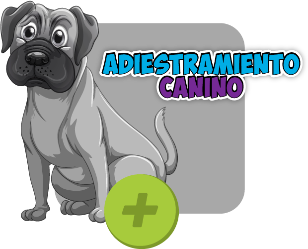 Hotel Para Perros Medellín - Christmas Dog Clipart (670x670), Png Download