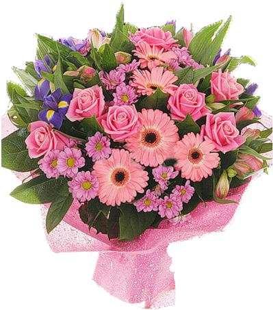 Imagens Em Png - Floral Arrangement (502x502), Png Download