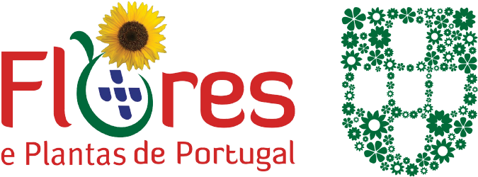 Flores E Plantas De Portugal - Simbolos Da Pascoa E Seus (833x625), Png Download