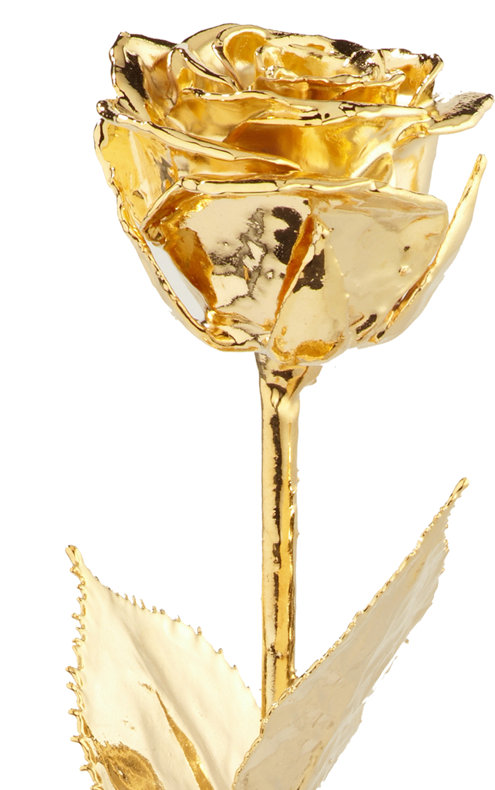The Golden Rose - Rose (1200x1200), Png Download
