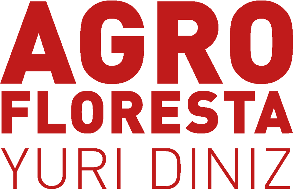 A Função Da Vida No Macroorganismo Planeta Terra - Hamptons Film Festival Logo (1000x785), Png Download