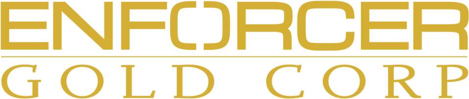Enforcer Gold Logo (1000x256), Png Download