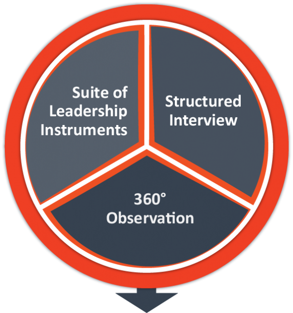 Beampines Executive Assessment & Development Planning - 5 Possible Social Responsibility Initiatives Of Tiger (600x641), Png Download
