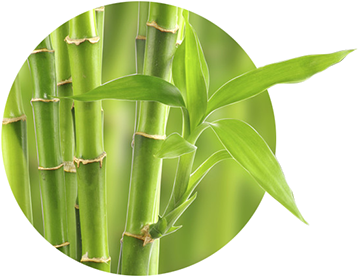 Why Using Bamboo - Woobamboo Toothbrush Standard Handle Medium Single (388x327), Png Download