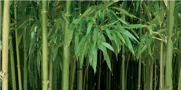 Bambu - Art Poster (600x600), Png Download
