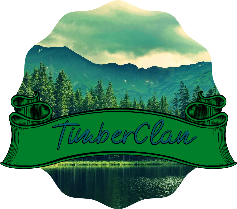 Pine Trees Near Mountain Lake3 - Nature Poster Canvas Art Print (24x16inch) - Mountains (1600x900), Png Download