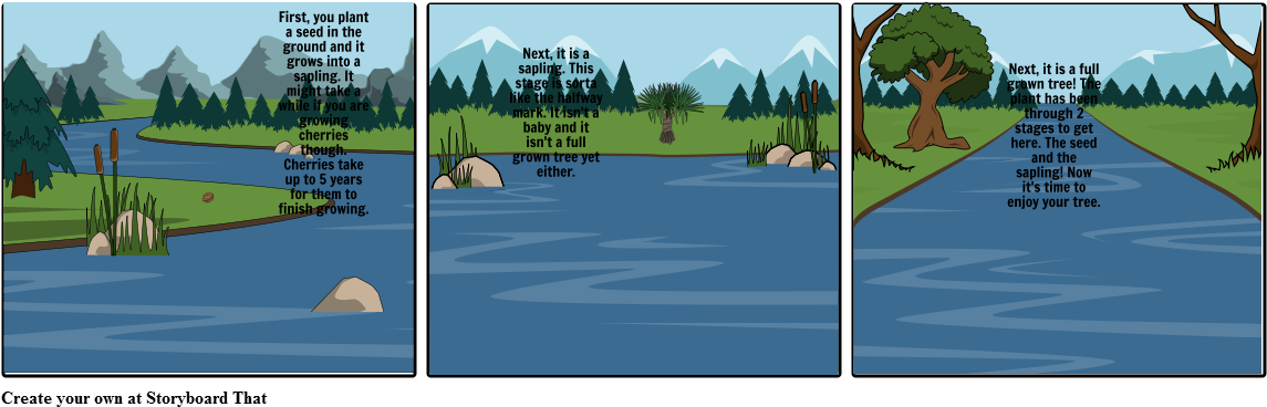 Trees - Jack Pine (1164x385), Png Download