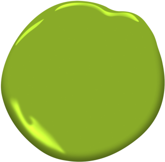 Douglas Fir - Benjamin Moore Fresh Olive (360x360), Png Download