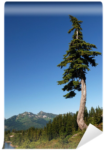 Lost Love Found In Eagle Cove (sweet) [book] (400x400), Png Download