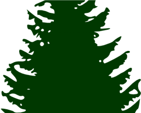 Fir Clipart Ashoka Tree - Silhouette Christmas Tree Png (640x480), Png Download