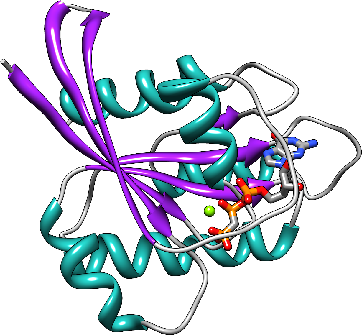 Hras Secondary Structure Ribbon - Ras Protein Secondary Structure (1300x1236), Png Download