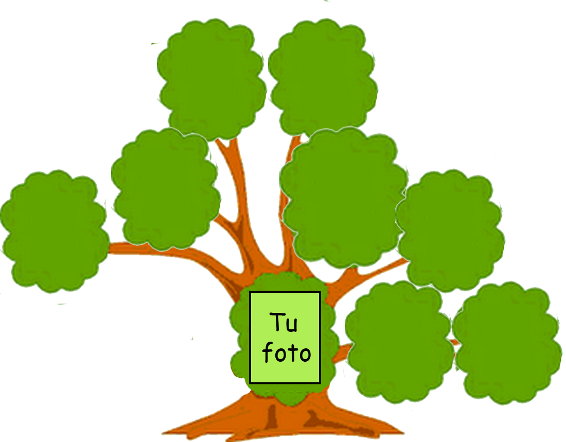 You Might Also Like - Arbol Genealogico De Tu Familia (1100x859), Png Download