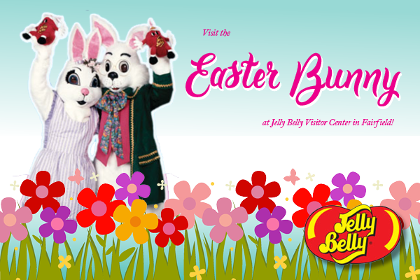 Jelly Belly (600x400), Png Download