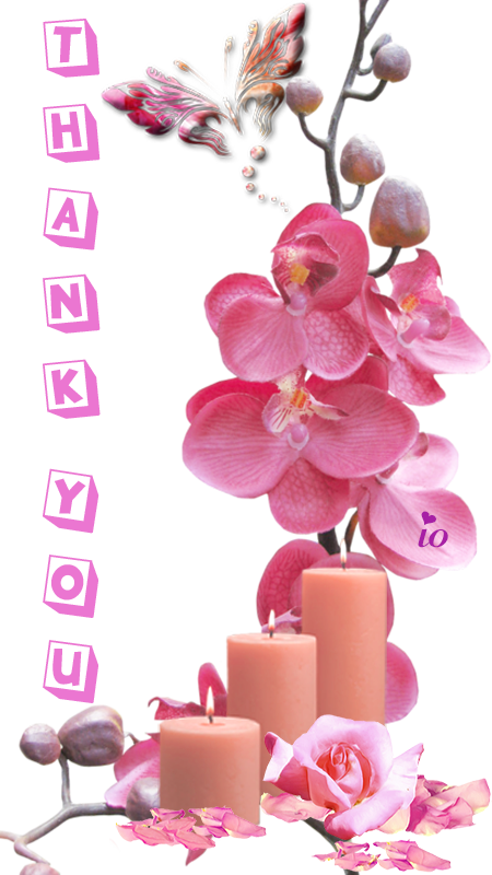 Orchid Flower Frame Psd (450x800), Png Download